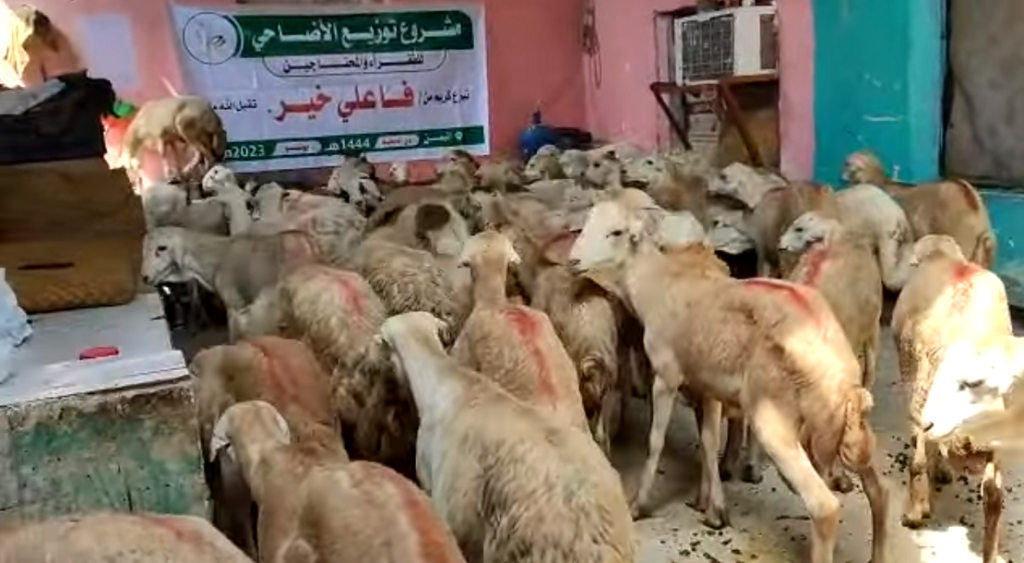 مشروع توزيع الأضاحي للعام الهجري 1444 الموافق 2023 ميلادي 1024x563